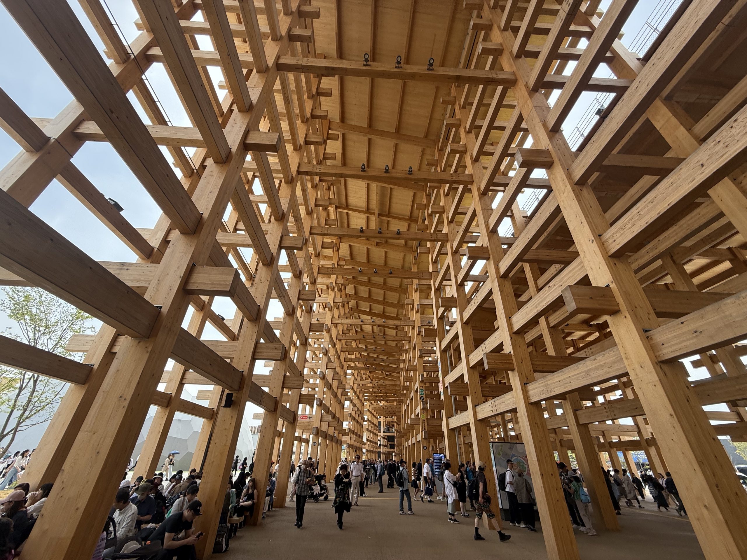 大屋根リングの木組み