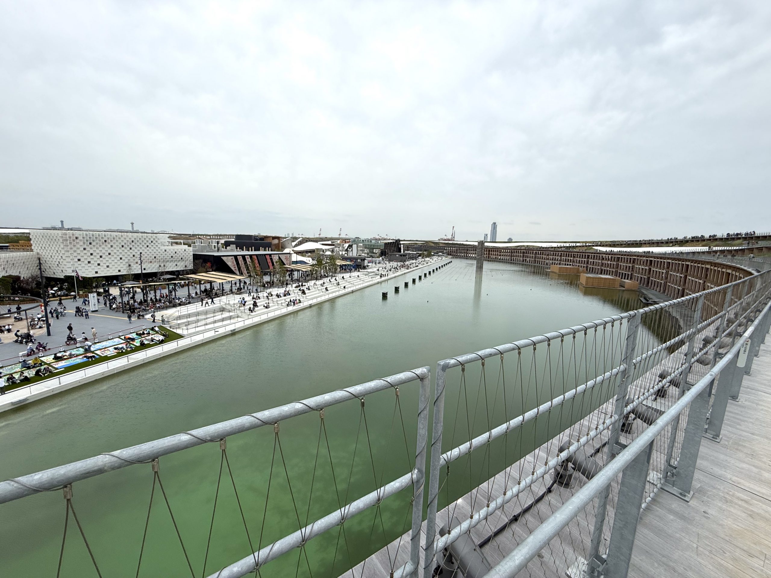 リングの上からの風景